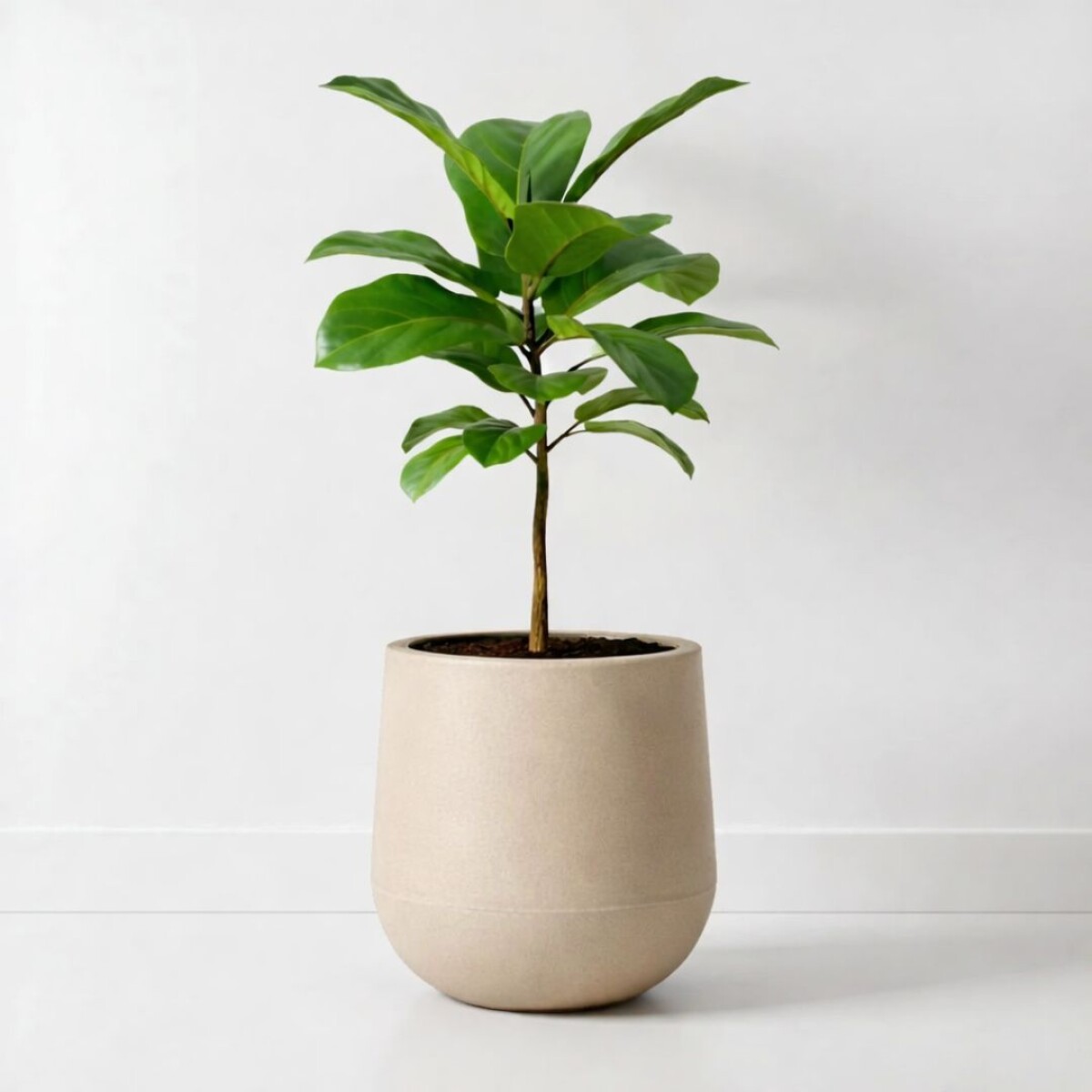 MACETA DECORATIVA GOTA 4,5 LITROS BEIGE 