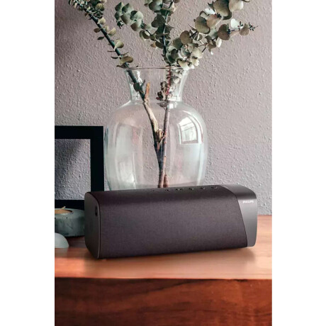 Parlante Bluetooth Philips European Design