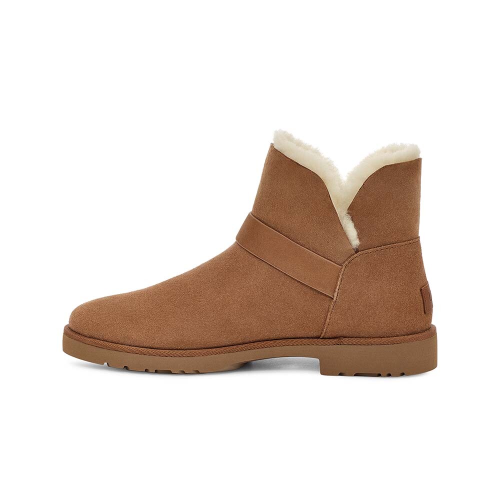Romely Short Buckle - Mujer Chestnut