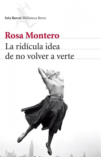 La ridícula idea de no volver a verte La ridícula idea de no volver a verte