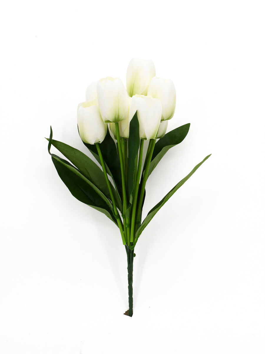 TULIPANES BLANCOS - BLANCO 