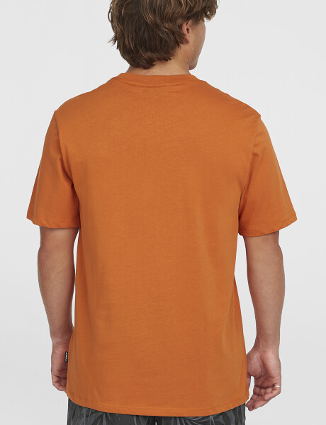 Remera O'Neill Front Print Negro Naranja