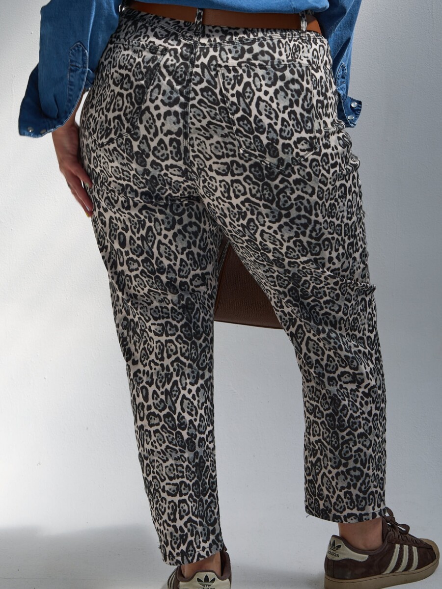 Leopardo Leopardo