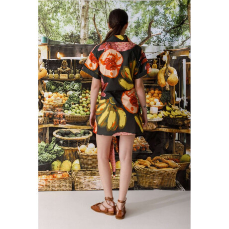 Pre Venta Vestido Kiwi Print Multifruit