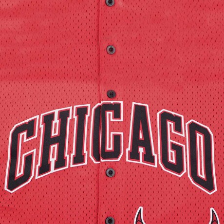 CAMISETA NBA Bulls