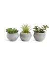 Planta artificial BROR Ø7xA9cm variado Planta artificial BROR Ø7xA9cm variado