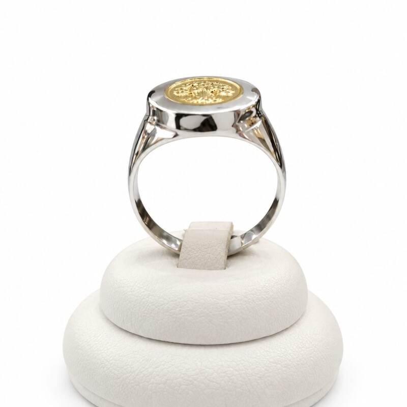Anillo combinado árbol de la vida Anillo combinado árbol de la vida