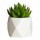 Mini Planta Artificial Decorativa Maceta Rombos en Cemento Verde Claro