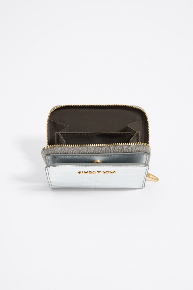 CARTERA Plata