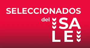 CategoriaMenu - Hombre SALE