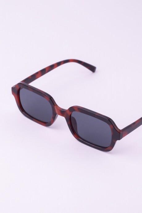 HARRY SUNNIES ANIMAL PRINT