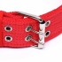 Collar Hebilla Nylon Perros Raza Grande 65 cm Ajustable Variante Color Rojo
