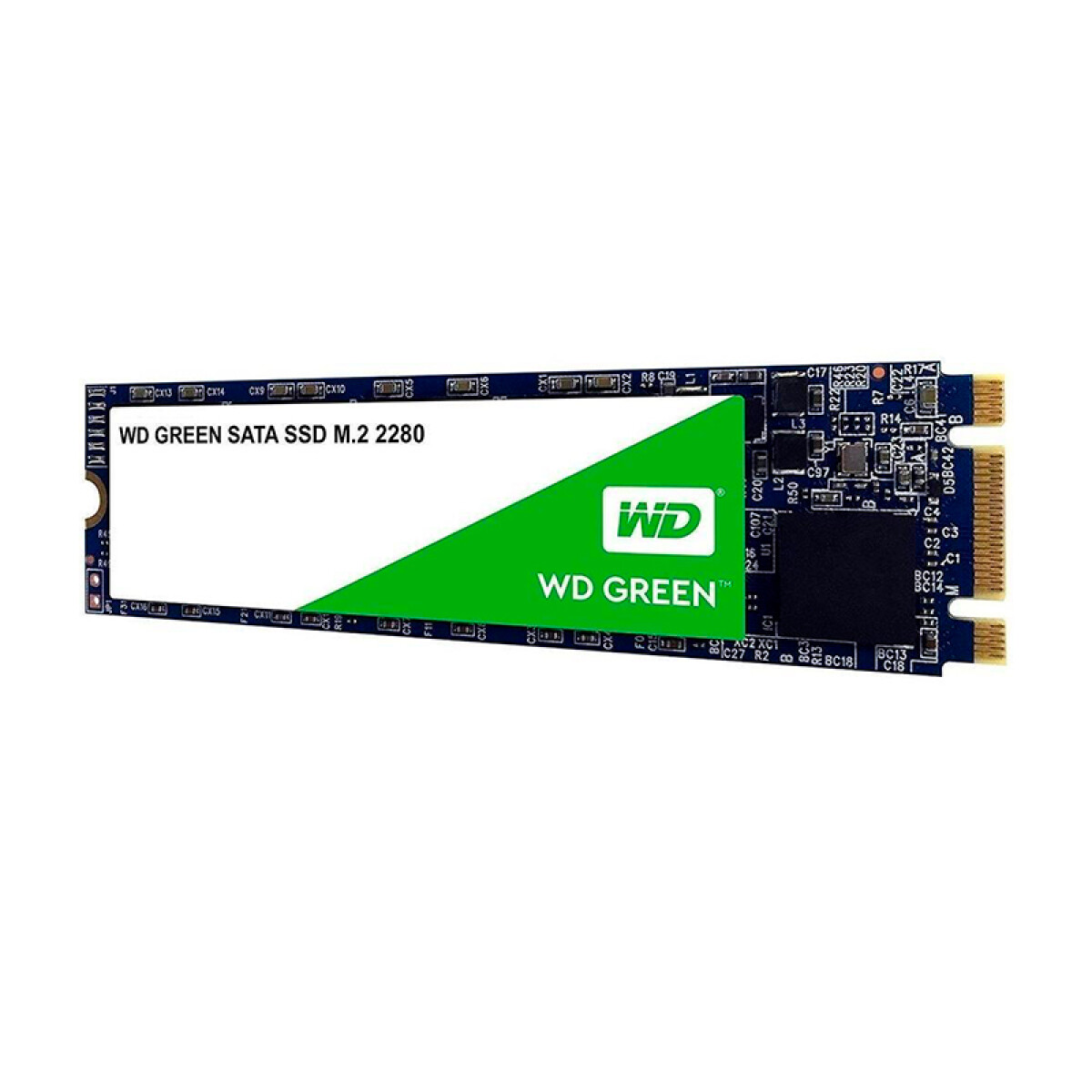 Disco Sólido Western Digital Green 500 GB M.2 