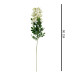 Ramo de Flores Beige Ramo de Flores Beige