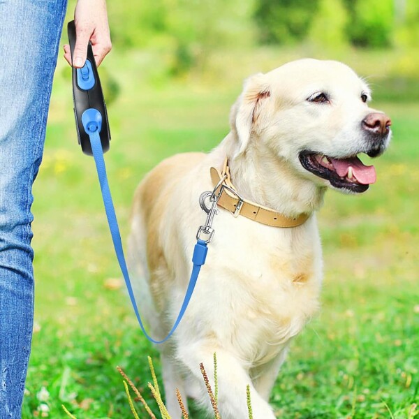 Correa Extensible 3 Mts Retractil Hasta 15Kg Perro Mediano Variante Color Azul Negro