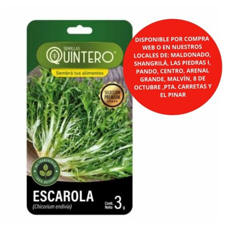 Semillas Escarola x 3g
