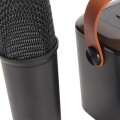 Mini Parlante Inalambrico Con 2 Microfonos Negro