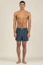 FLORAL STRIPE CLASSIC Blue
