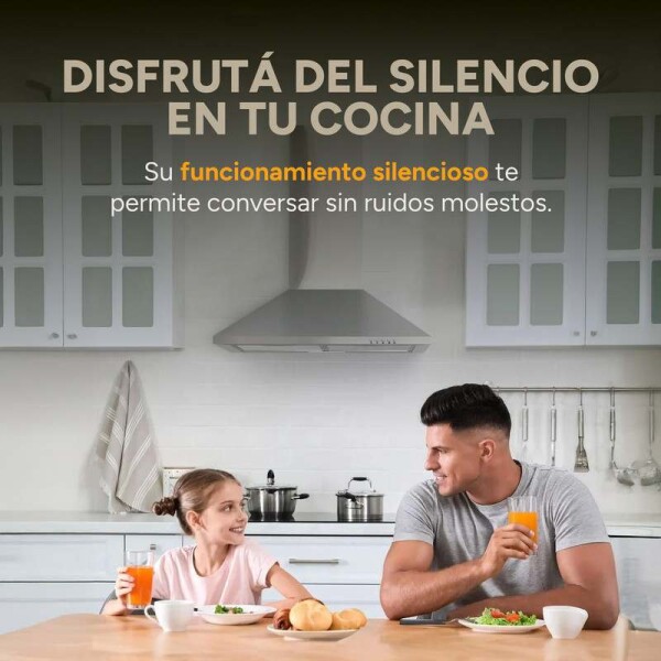 Campana De Cocina Extractor Goldtech 60cm Inoxidable Luz Variante Color Plateado