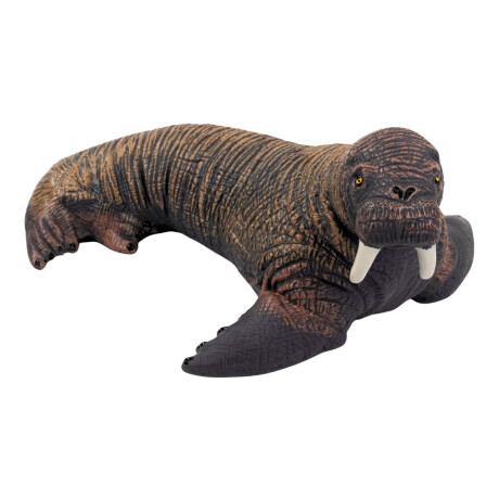 Foca de goma Foca de goma