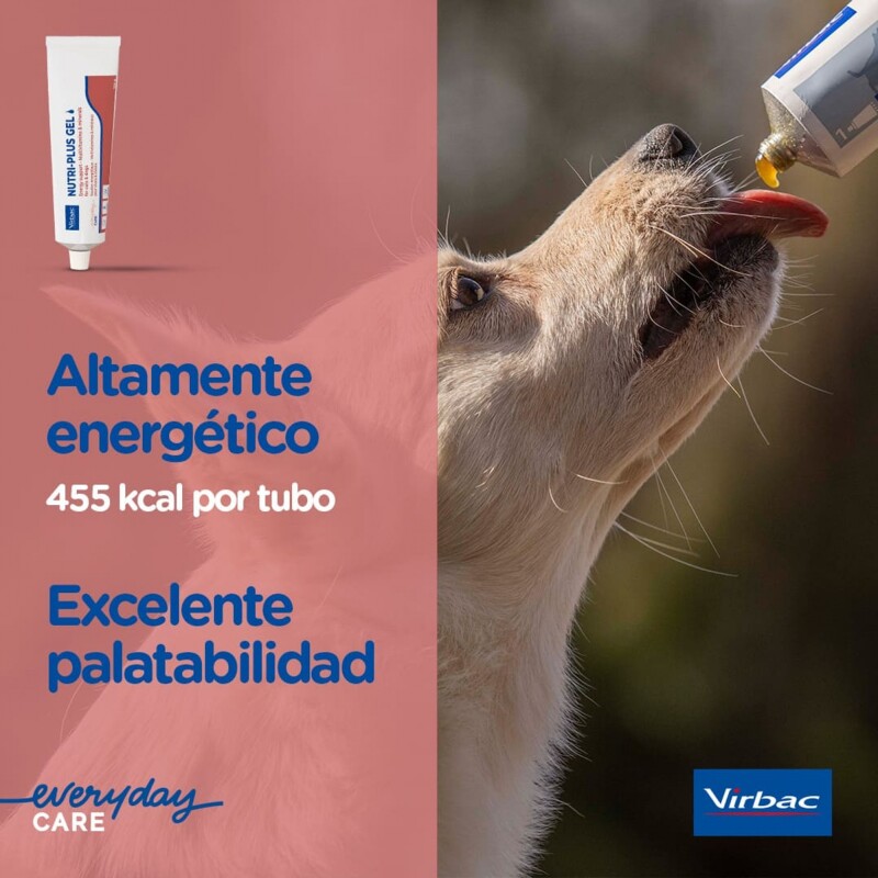 NUTRI PLUS GEL SUPLEMENTO ENERGETICO PERROS Y GATOS 120.5 GR NUTRI PLUS GEL SUPLEMENTO ENERGETICO PERROS Y GATOS 120.5 GR