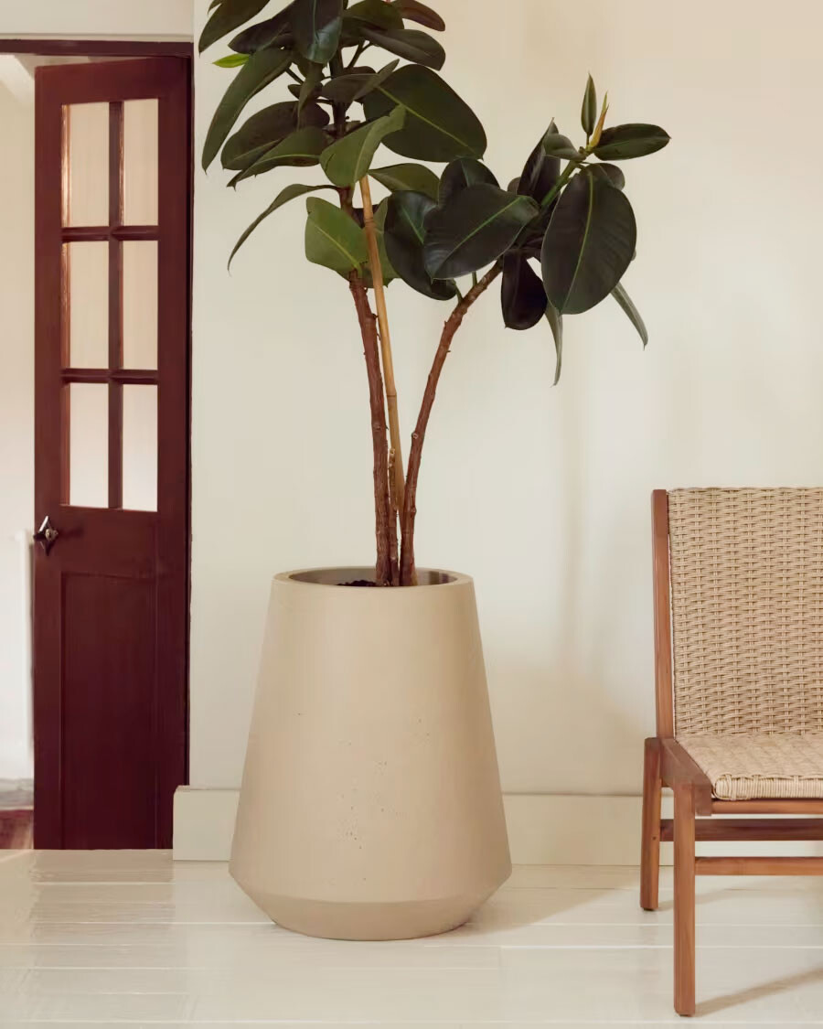 Macetero Calun de cemento beige Ø 50 cm Macetero Calun de cemento beige Ø 50 cm