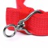 Collar Hebilla Nylon Perros Raza Grande 65 cm Ajustable Variante Color Rojo