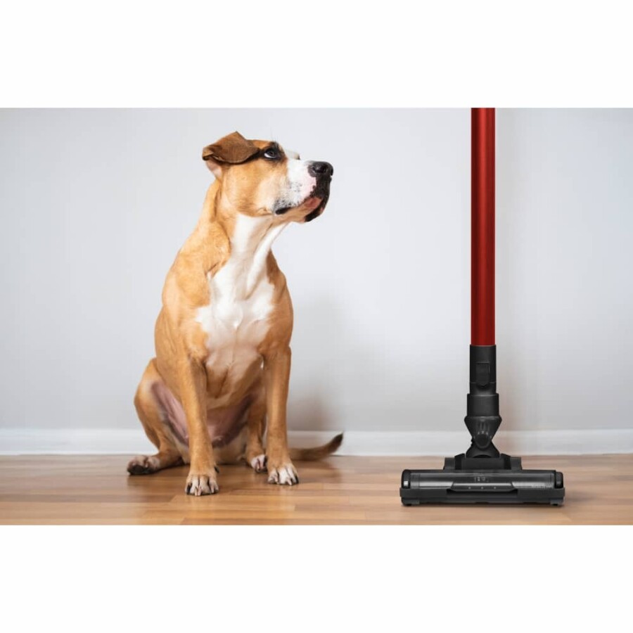 Aspiradora escoba Ufesa Kalahari Aspiradora escoba Ufesa Kalahari