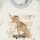 Conjunto Dino Celeste
