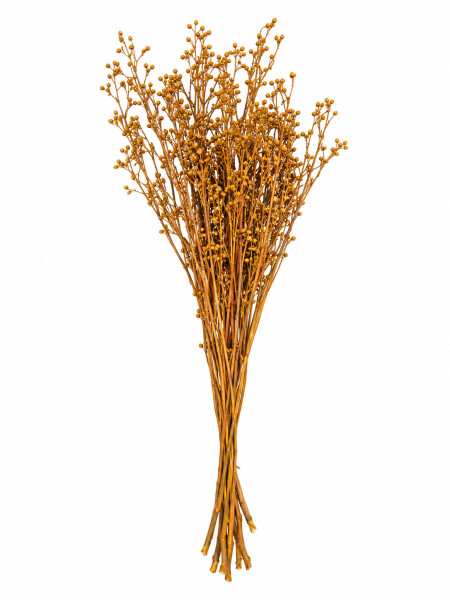 FLOR SECA BEIGE
