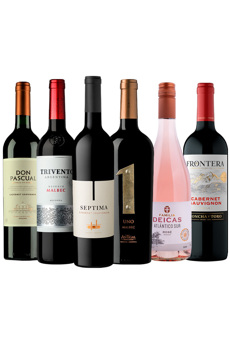 Pack Bacán Selección Wine Syles Collection x6 vinos Smooth & Classic 
