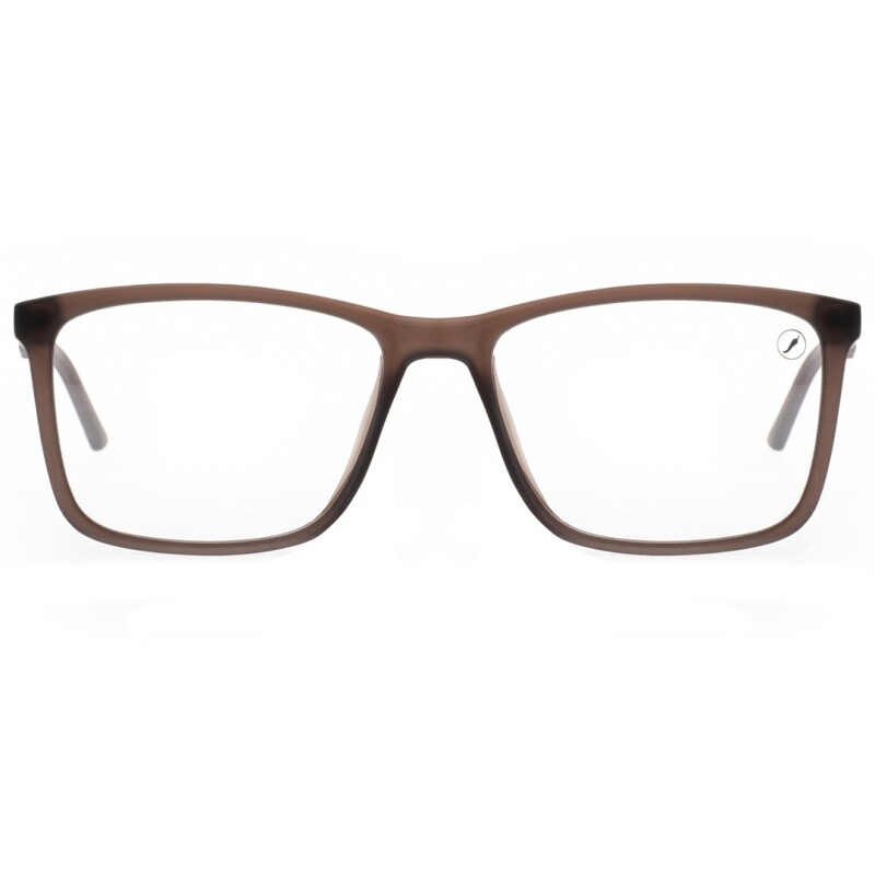 Armazón Chilli Beans Blumenau Marrón