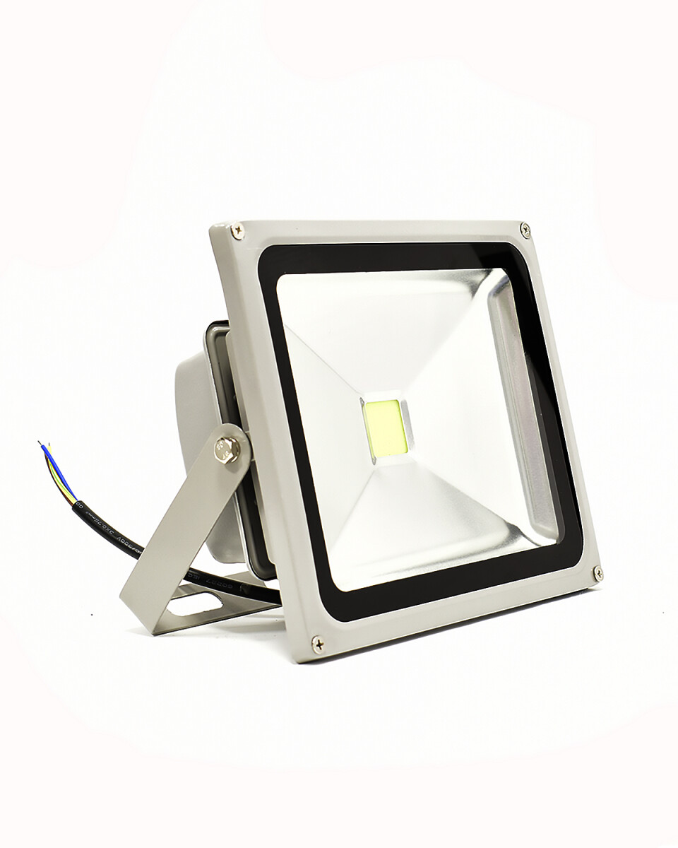 Foco Reflector LED 30W 