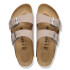 Arizona BFBC Gray Taupe Gray Taupe