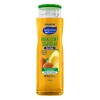 Shampoo Ballerina Sin Sal 750ml Hidratación y Suavidad