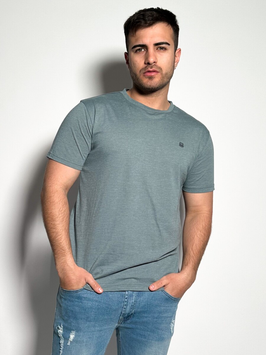 Remera Timo - Pistacho 