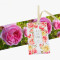 Aromatizador Placar Rosa