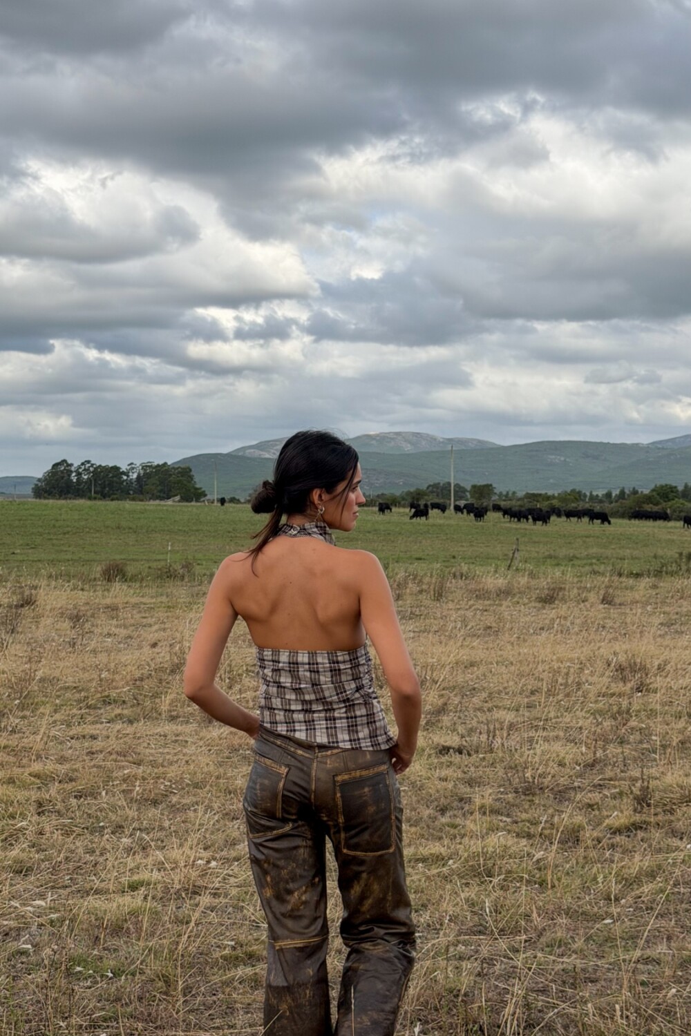 Top Arma Mortal Cuadrillé Azul / Beige