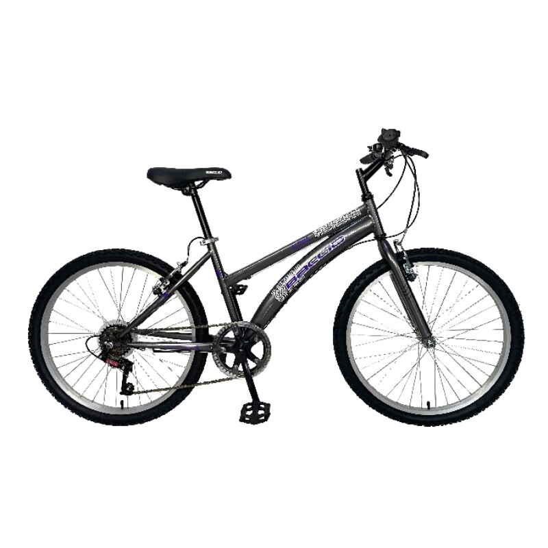 Bicicleta Baccio R.26 Dama Alpina Mtb Gris
