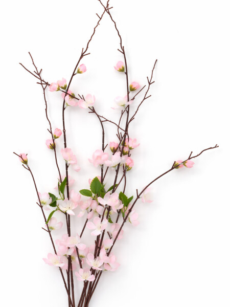 FLOR ROCIO DE DURAZNO LILA