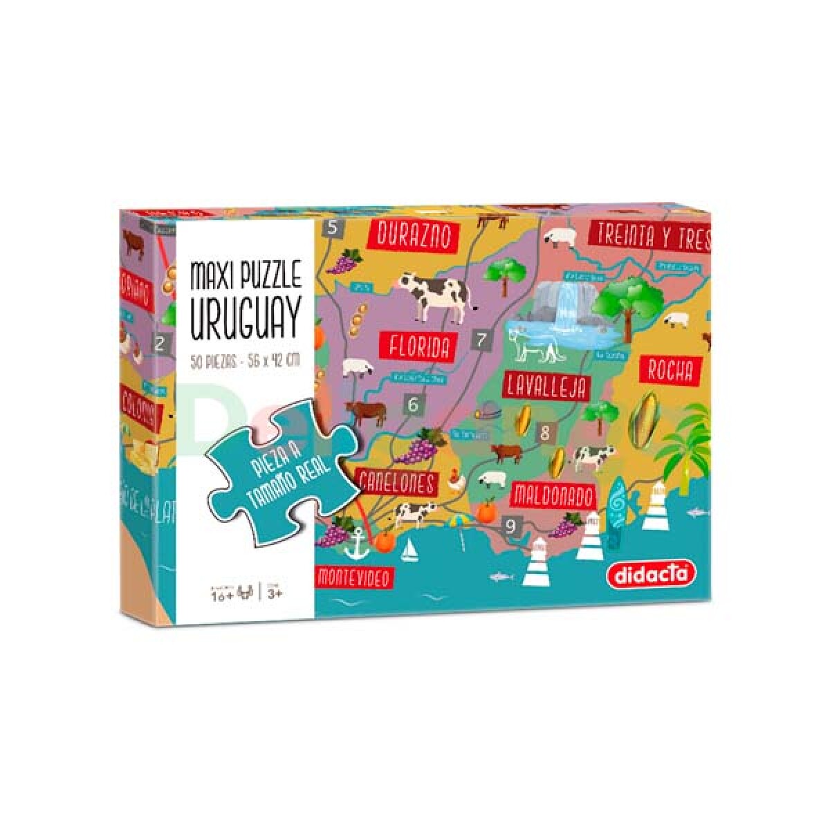 Maxi Puzzle Uruguay 50 Piezas 