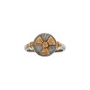 Anillo Profesión Radioterapia-Plata y Oro-Sin Piedra-AP5014 sinpiedra