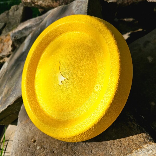 Juguete Para Perro Frisbee Disco Mascota Resistente Calidad Color Variante Amarillo
