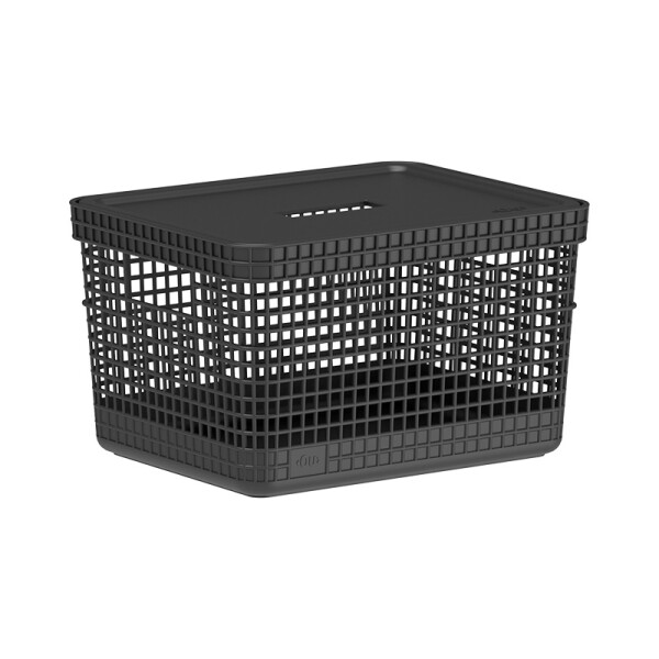 Organizador Rejilla M l Tapa Plástico Negro