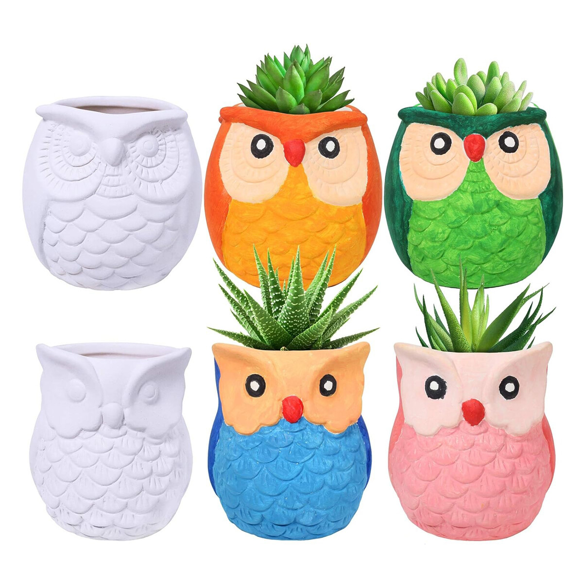 Set De Arte X6 Macetas Búhos P/decorar Manualidades 