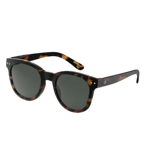 Lentes Izipizi N Sun Carey