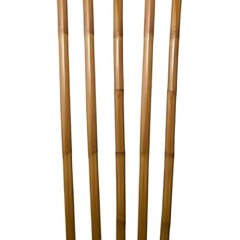 IVA_OFF Flor caña de bamboo color natural 160cm x5 Iva_off Flor Caña De Bamboo Color Natural 160cm X5