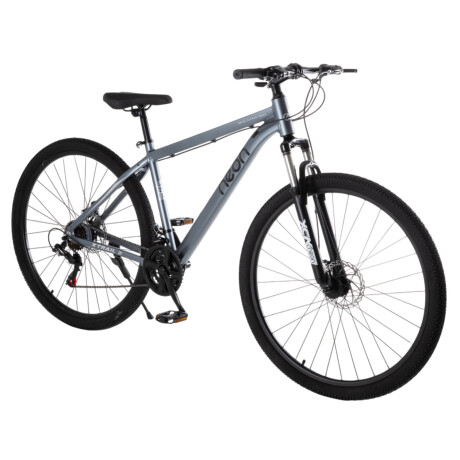 Bicicleta Montaña Bike Ruta R29 Freno Disco Acero Gris