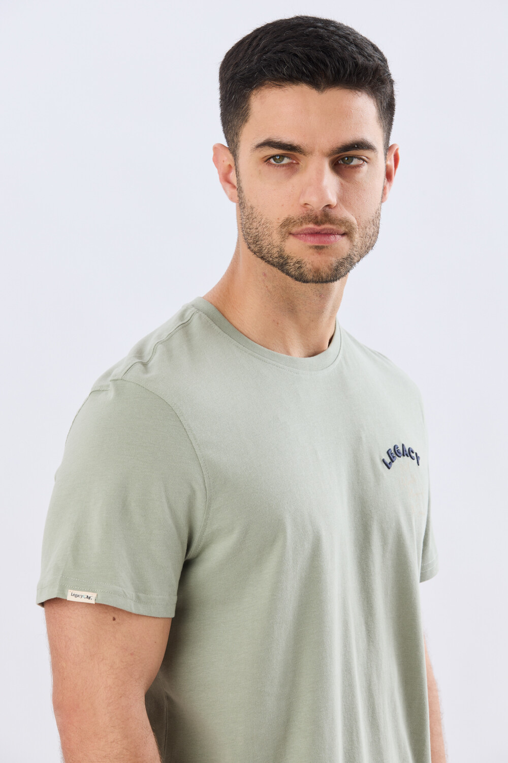 REMERA ESTAMPADA DE ALGODÓN Pistacho