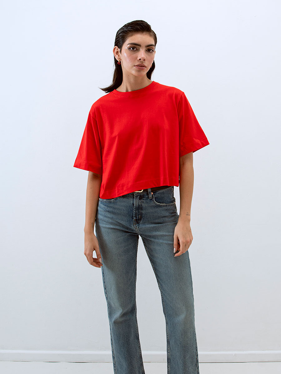 CAMISETA ANIS 